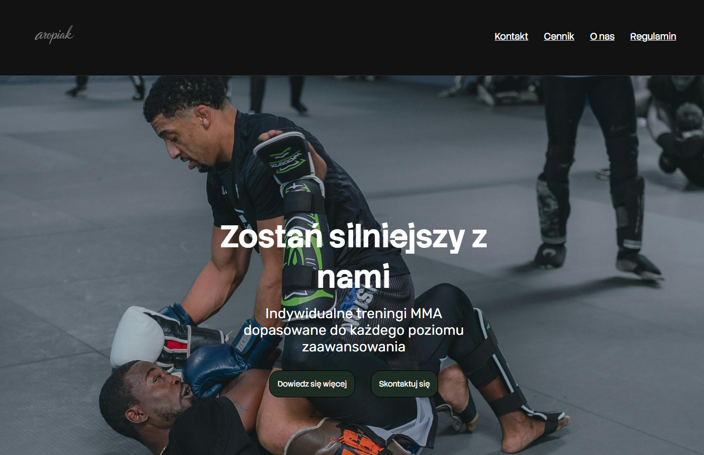 Przykładowa nowoczesna strona wizytówka dla małej firmy